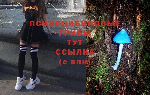 гашиш Арсеньев