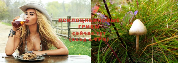 первитин Армянск